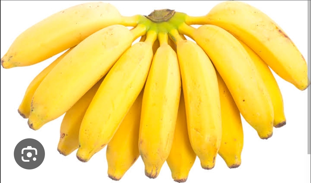 BANANA KG