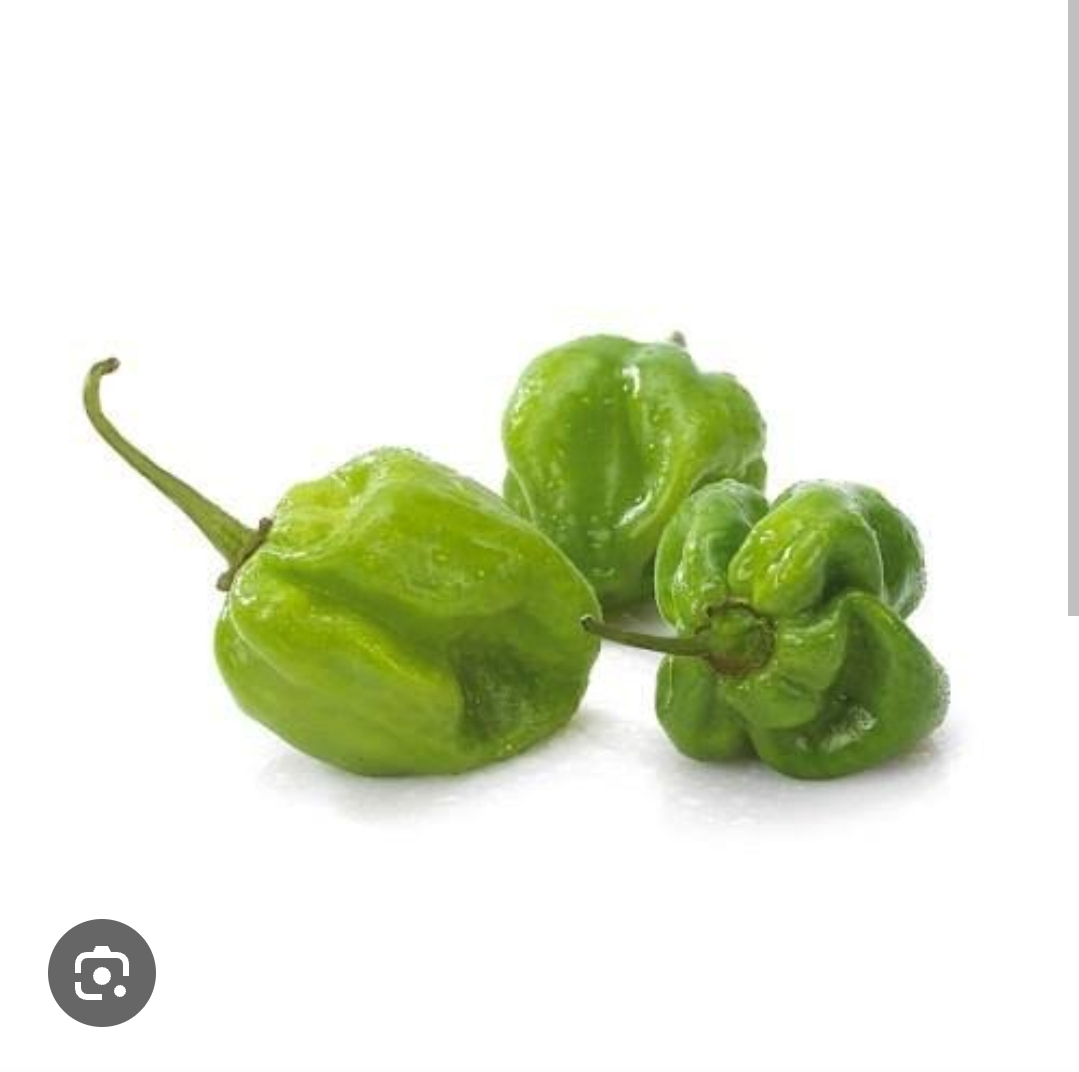 PIMENTINHA CHEIRO UN